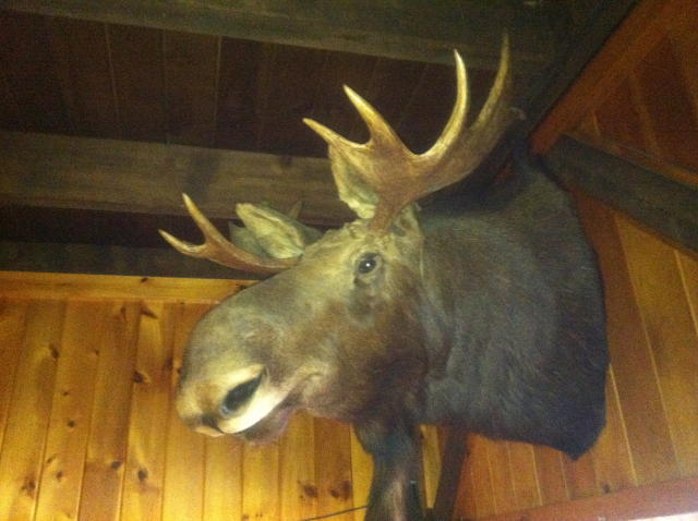 RESTAURANT EQUIPMENT AUCTION - KITCHEN & LOUNGE EQUIPMENT - CUSTOM BAR & TABLES - MOOSE MOUNT Auction