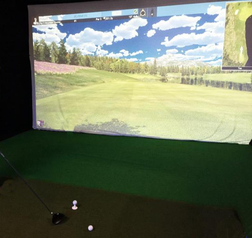 PUBLIC TIMED ONLINE AUCTION GOLF SIMULATOR, GOLDEN TEE ARCADE MACHINE Auction
