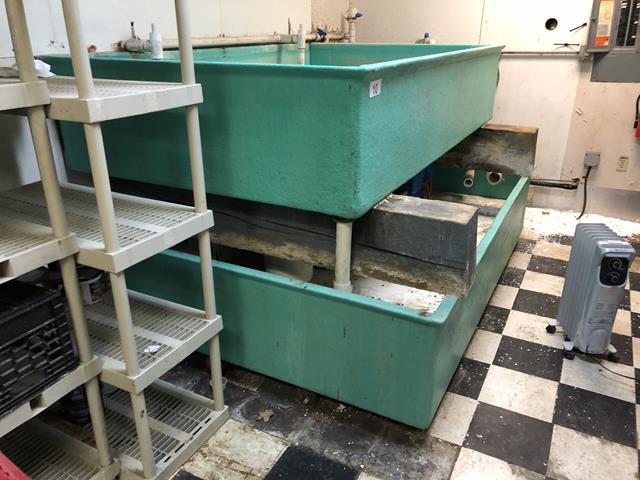 TIMED ONLINE AUCTION RESTAURANT & REFRIGERATION EQUIPMENT- PIZZA OVEN Auction