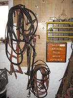 PUBLIC AUCTION - RECOVERY VEHICLES - RENTAL CARS - AUTOMOTIVE REPAIR EQUIPMENT Auction Photo