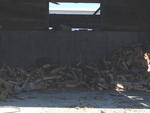 TIMED ONLINE AUCTION FIREWOOD PROCESSING & SUPPORT EQUIPMENT Auction Photo