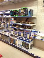 REAL ESTATE & EQUIPMENT/INVENTORY, COMPLETE LIQUIDATION RE: MOUNT BLUE AGWAY Auction Photo