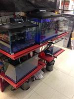 REAL ESTATE & EQUIPMENT/INVENTORY, COMPLETE LIQUIDATION RE: MOUNT BLUE AGWAY Auction Photo