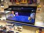 AQUARIUM Auction Photo