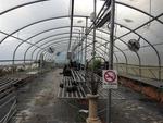 100' X 24' HOOP HOUSE Auction Photo