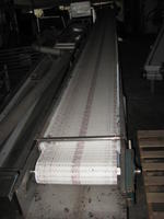 ENTIRETY # 1 - CONVEYOR, 30FT. Auction Photo
