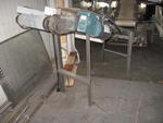 ENTIRETY # 1 - 8FT. INCLINE CONVEYOR Auction Photo