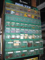 Automotive Bulbs Auction Photo