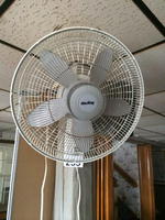 TIMED ONLINE AUCTION LARGE RESTAURANT EQUIPMENT & FURNITURE AUCTION Auction Photo