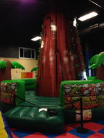 Rock Mountain Climb Auction Photo