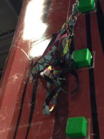 Rock Mountain Climb Auction Photo