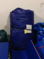 Bungee Basketball Auction Photo