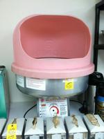 TIMED ONLINE AUCTION 34-Inflatable Bounce Houses - Party Rental Equip Auction Photo