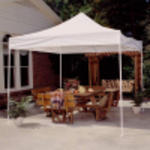10x10 Canopy Auction Photo