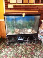 TIMED ONLINE AUCTION  FORMER CAPITAL BUFFET CHINESE RESTAURANT Auction Photo