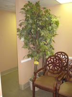 SECURED PARTY'S SALE BY TIMED ONLINE AUCTION,  MEDICAL EQUIPMENT Auction Photo