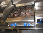 RESTAURANT EQUIPMENT AUCTION - ICE CREAM EQUIPMENT - REFRIGERATION - FURNITURE - COLLECTIBLES Auction Photo