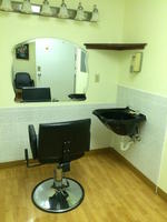 VERY CLEAN LATE MODEL KITCHEN, NURSING CARE, REHAB & MEDICAL EQUIPMENT - PLOW TRUCK Auction Photo