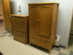 VERY CLEAN LATE MODEL KITCHEN, NURSING CARE, REHAB & MEDICAL EQUIPMENT - PLOW TRUCK Auction Photo