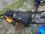 CUB CADET PUSH MOWER Auction Photo