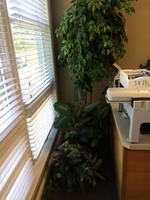 TRUSTEE'S SALE BY TIMED ONLINE AUCTION THE POLLACK CORPORATION Auction Photo