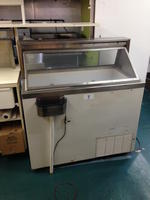 ICE CREAM DIPPING/DISPLAY MERCHANDISER Auction Photo