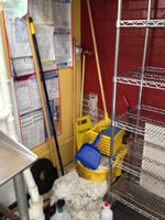 MISC. CLEANING LOT Auction Photo