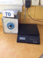 SCALES Auction Photo