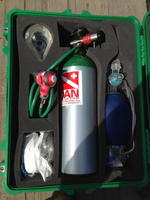 DAN PRO EMS VERSION OXYGEN UNIT Auction Photo
