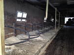 TIMED ONLINE AUCTION FARM TRACTORS - HAY & MILKING EQUIPMENT Auction Photo