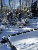 SECURED PARTY'S SALE JD 110 4WD BACKHOE - JD 955 4WD TRACTOR Auction Photo