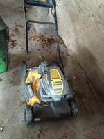 Cub Cadet Push Mower Auction Photo