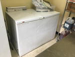 CHEST FREEZER Auction Photo