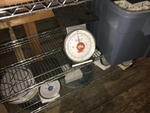 PORTION SCALES Auction Photo