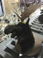 TIMED ONLINE AUCTION 82 JAGUAR, ZODIAC BOAT, RESTAURANT EQUIPMENT Auction Photo