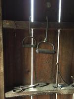 TIMED ONLINE AUCTION SAWMILL & SUPPORT EQUIPMENT - CAT DOZER - TRUCKS Auction Photo