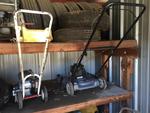 EDGER - PUSH MOWER Auction Photo