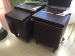 PORTABLE ICE BINS Auction Photo