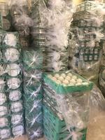 ONSITE & ONLINE AUCTION CONSTRUCTION EQ - TRAILERS - PARTY & WEDDING  Auction Photo