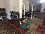 TIMED ONLINE AUCTION GYM & FITNESS EQUIPMENT RE: ULTIMATE FITNESS Auction Photo