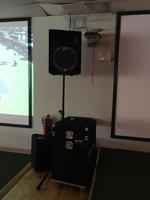 PEAVEY SPEAKERS Auction Photo