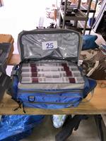 TIMED ONLINE AUCTION 02 HARLEY DYNA LOW RIDER - TRAILER Auction Photo