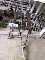 TIMED ONLINE AUCTION 02 HARLEY DYNA LOW RIDER - TRAILER Auction Photo