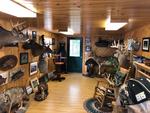 TIMED ONLINE AUCTION TAXIDERMY, FIREARMS, FURNITURE, SHOP EQUIPMENT   Auction Photo
