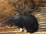 TIMED ONLINE AUCTION TAXIDERMY, FIREARMS, FURNITURE, SHOP EQUIPMENT   Auction Photo