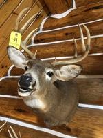 TIMED ONLINE AUCTION TAXIDERMY, FIREARMS, FURNITURE, SHOP EQUIPMENT   Auction Photo