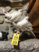 TIMED ONLINE AUCTION TAXIDERMY, FIREARMS, FURNITURE, SHOP EQUIPMENT   Auction Photo