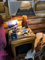 TIMED ONLINE AUCTION TAXIDERMY, FIREARMS, FURNITURE, SHOP EQUIPMENT   Auction Photo