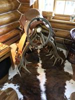 TIMED ONLINE AUCTION TAXIDERMY, FIREARMS, FURNITURE, SHOP EQUIPMENT   Auction Photo