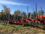 TRI-AXLE LOG TRAILER 40'x102 Auction Photo
